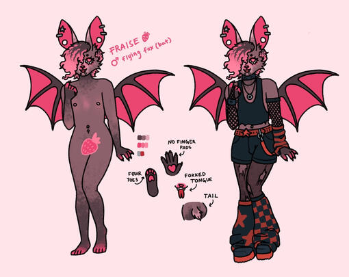 Bat Adopt Bat Adopt